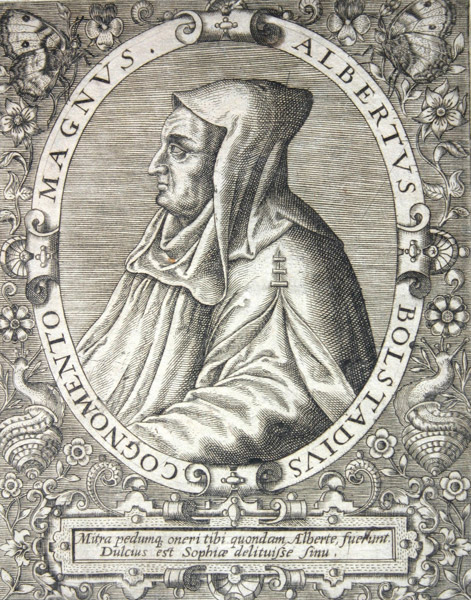 Saint Albert le Grand (Magnus Albertus)