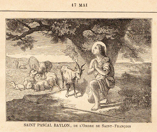 St Pascal Baylon, religieux (franciscain)